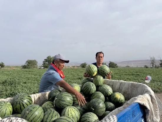 一木吃瓜,揭秘瓜界奇闻轶事