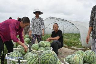 吃瓜种草的地方,吃瓜种草的美食天堂
