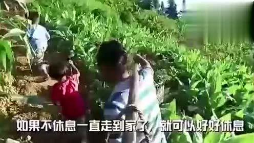 代古拉开吃瓜视频,揭秘娱乐圈幕后故事